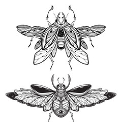 Beetle bug tattoo drawing. Scarab bug illustration