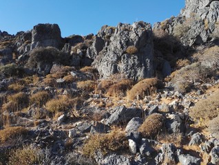 Felsen