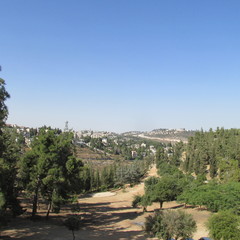 Jerusalem in the distance 