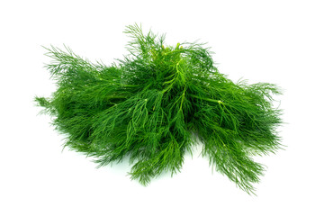 Frische Dille auf weissem Hintergrund