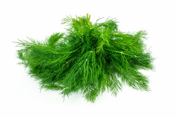 Frische Dille auf weissem Hintergrund