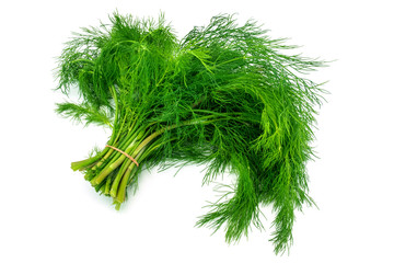 Frische Dille auf weissem Hintergrund