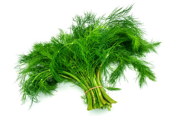 Frische Dille auf weissem Hintergrund