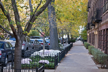 Autumn Stroll.  Autumn comes to one of Chicago's many upscale neighborhoods.