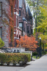 Autumn in the City.  Autumn colors in one of Chicago's many upscale neighborhoods.