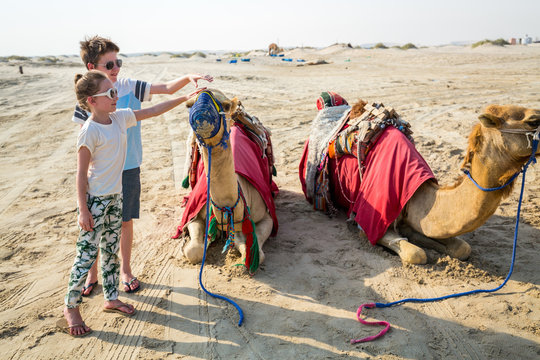 Kids with camels at desert