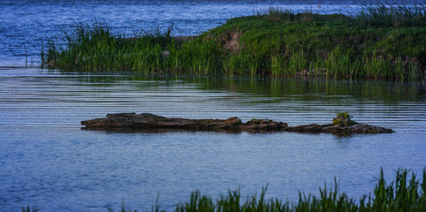 Spring nature beauty