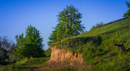 Spring nature beauty