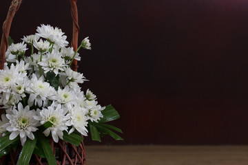 Still Life with white flowers (Chrysanthemum)  in the basket