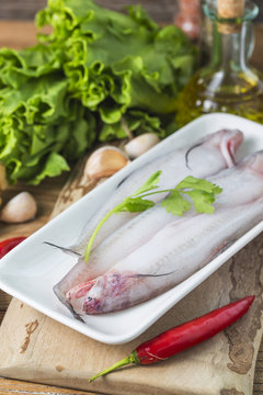 Bombay duck fish