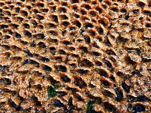formations in the sand