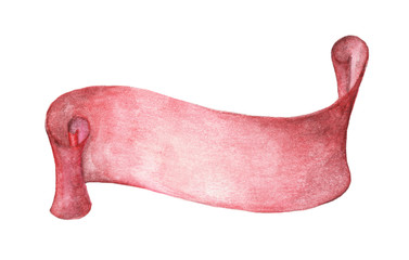 Watercolor ribbon. Hand drawn stripes or banners for text. Watercolor design elements isolated objects.