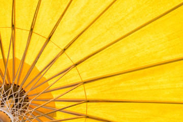 yellow umbrella background