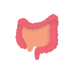 Human organs flat icon intestine