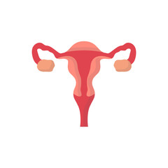 Human organs flat icon uterus