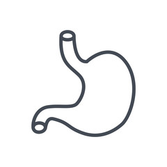 Human organs line icon stomach