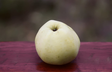 Fresh ripe apple