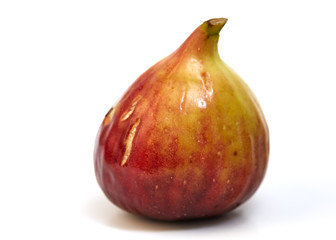 Fig on White Background