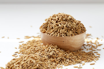 Brown paddy rice closed up