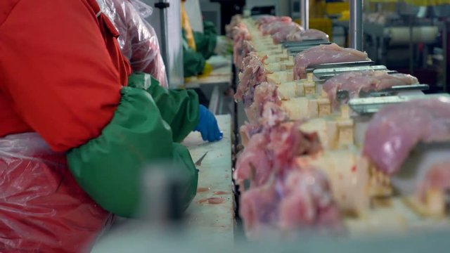 Factory workers remove chicken tenders from the bones. 