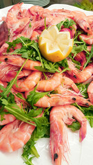 fresh shrimps with salad and lemon