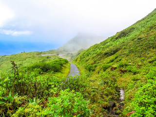 The trekking path to Volcan La Soufriere around the mist vapor that comes out of the mouth of volcano active in South crater in Basse Terre, Guadeloupe, French Caribbean.