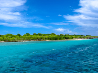 Fototapeta na wymiar Spectacular turquoise sea in the tropical island of Guadeloupe, French West Indies, Caribbean.