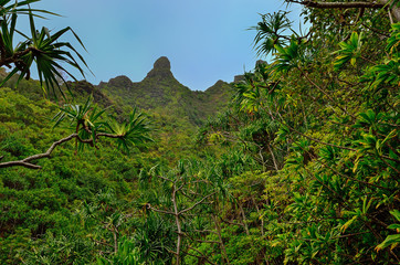 Hawaii Kauai Napali coast Kalalau trail