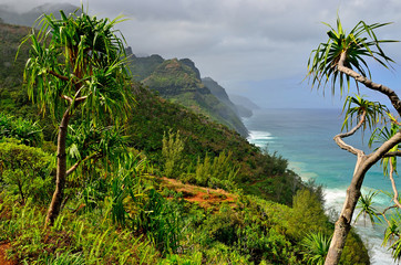 Fototapeta premium Hawaii Kauai Napali coast Kalalau trail
