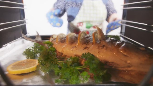Cooking whole roasted fish seriola with lemon and herbs baked in the oven. Woman chef takes cooked amberjack out of the hot oven. Yellowtail preparation under high heat inside electric convection oven