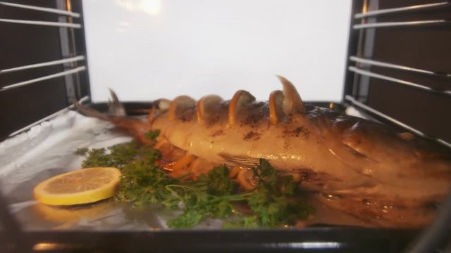 Cooking whole roasted fish seriola with lemon and herbs baked in the oven. Closeup of yellowtail roasting on a baking sheet inside electric oven.