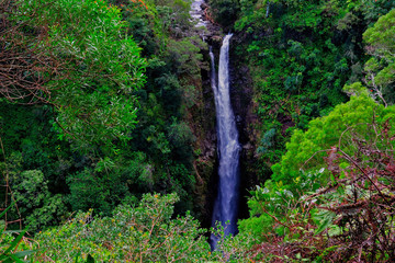 Hawaii Maui hana coast Wailua falls 