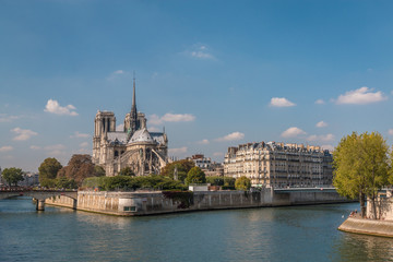 Notre Dame cathedral in Paris