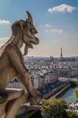 Fototapeta premium Panoramic view of Paris