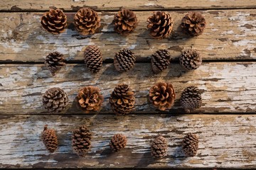 Directly abvoe shot of various pine cones