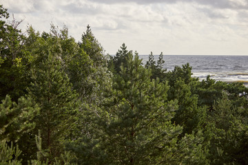 Cloudy shore