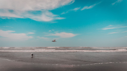 Waiting for the time to hunt.