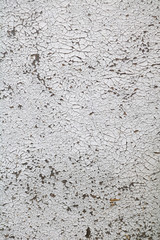 Texture of an old painted orglite