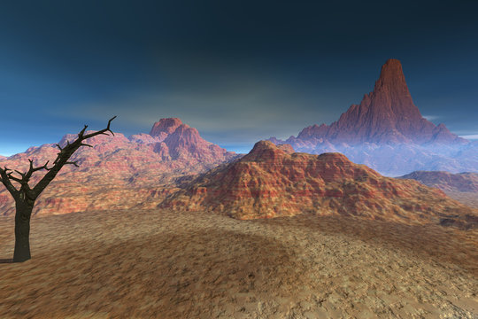 Desert, a rocky landscape, dry environment and a black tree, fog in the mountains and a blue sky.