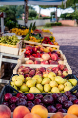 Colorful heap of mixed fruits on market stall