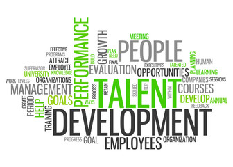 Word Cloud Talent Development
