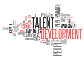 Word Cloud Talent Development