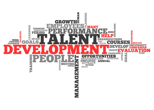 Word Cloud Talent Development