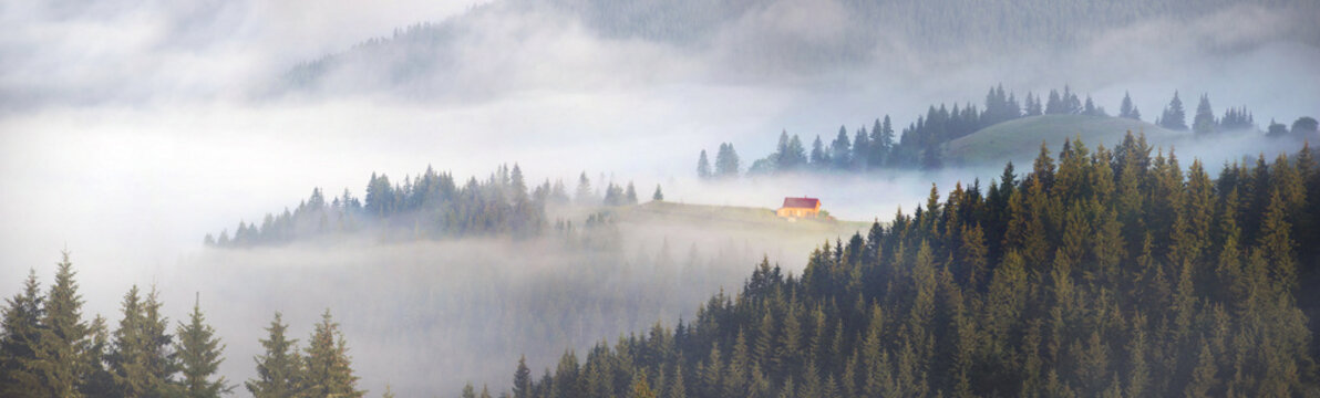 Fototapeta picturesque house in the fog