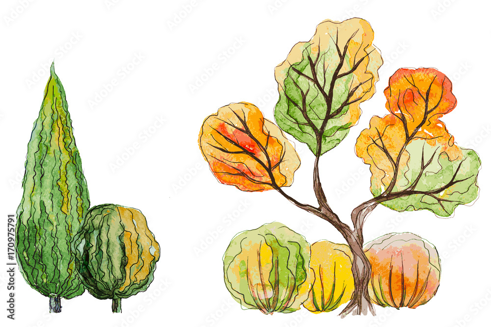 Canvas Prints Vector hand drawn watercolor autumn background with orange,green trees,thuja and shrubs on the white horizontal background