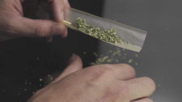 prepearing joint with marijuana weed for get hight. Smoking weed buds by join, blunt item close-up
