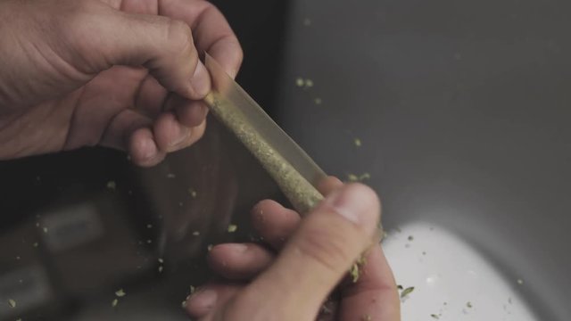 prepearing joint with marijuana weed for get hight. Smoking weed buds by join, blunt item close-up
