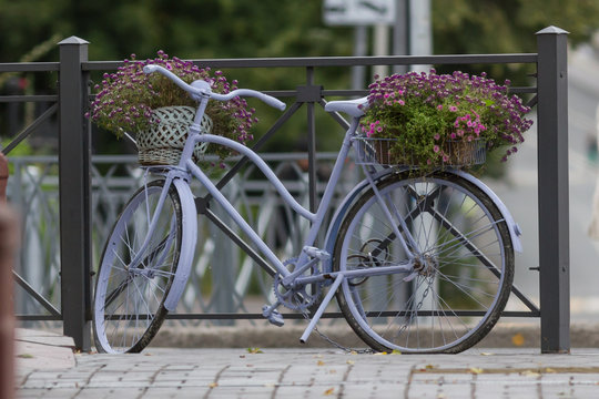 Bicycle with flowers standing on city street near cafe