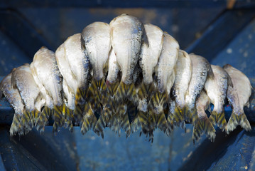 Fish market, Manaus, Brazil. 