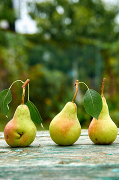 Three green pears with leaves on wooden green brown aged texture background close up. Pears on blurred nature background. Horizontal image. Side view